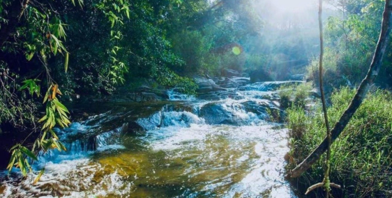 Đất trong khu du lịch suối Lũng Chuối, Bảo Lộc, sổ sẵn 980tr