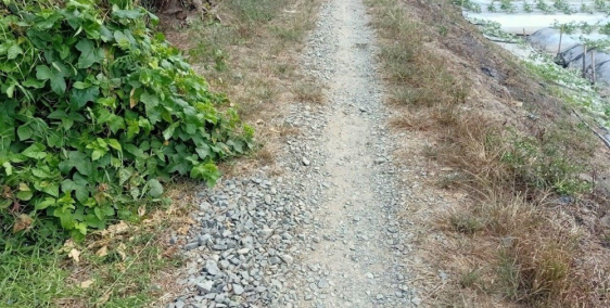 Bán đất cây lâu năm, rạch Chuối Nguyễn Văn Cừ, Long Tuyền, Bình Thuỷ