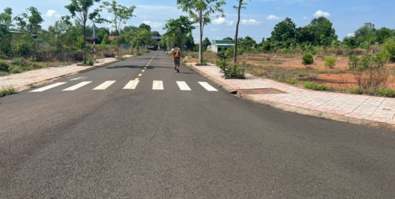 Cần bán gấp lô đất lấy tiền cho con đi du học