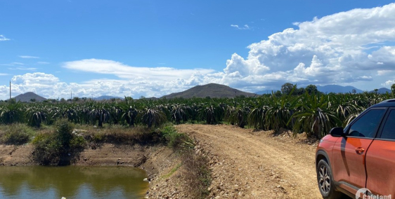 3000M2 - Đất CLN- Cạnh Ga Bình Thuận - Cao Tốc - Giá chỉ 400 Sào