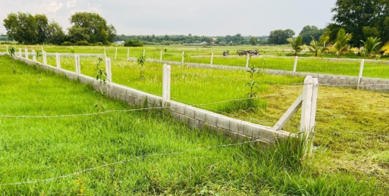 Đất vườn xã nhuận đức, mặt tiền đường bê tông 8m 566m2 giá 2ty050 sổ hồng riêng