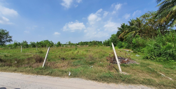 Chủ cần bán1200m2 đất CLN ngay đường cầu Cát Lái, xã Phước Khánh, Nhơn Trạch