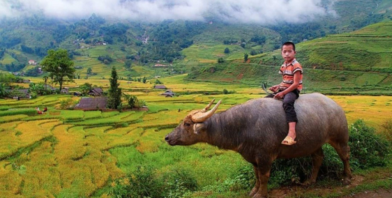 đất nền nghỉ dưỡng tả phìn,sapa,lào cai