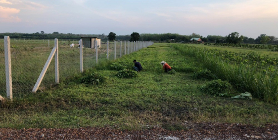 BÁN ĐẤT TÂY NINH - NHÌN VỀ NÚI BÀ ĐEN - 500tr/hơn 1000m2!!!