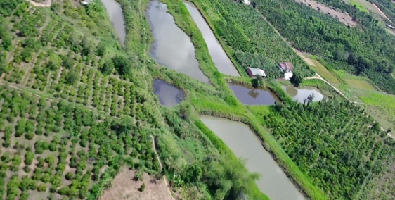 Tổ Hợp Ao Vườn Cho Ai Muốn Bỏ Phố Về Quê - Giá Đẹp Cho Khách Thiện Chí