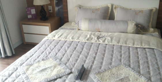 Biệt thự phong cách châu âu tọa lạc tại p4 Long an