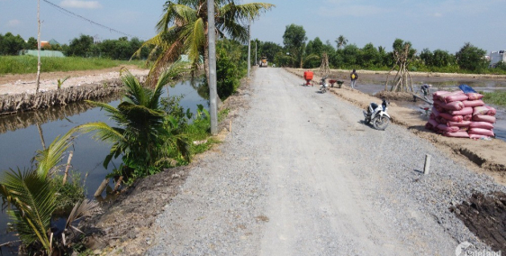 Bán gấp 180m2 full thổ đất DT 824 xã Hựu Thạnh, Đức Hòa, Long An