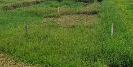 Tìm chủ mới cho lô đất gần chợ