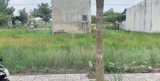 Bán đất đối diện Khu Công Nghiệp XUYÊN Á