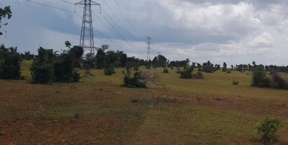 Bán 19,581m2 đất sào hoà thắng cách liên huyện 350m chỉ 120k/m2 Lh 0938677909