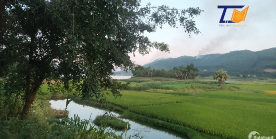 Tiến Mai cần bán lô đất 4000m2 Thanh Sơn Phú Thọ lô đất có 400m2 TC Sẵn nhà hàng