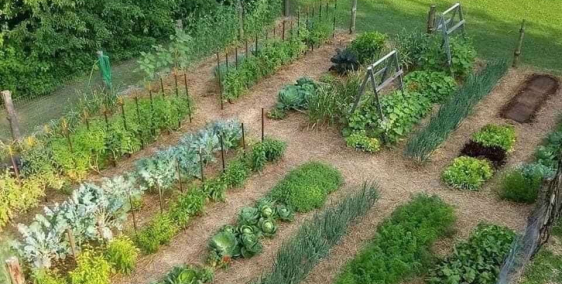 Chỉ 2,1 triệu sở hữu ngay 1m2 đất view sông, gần nút xuống cao tốc, khu dân cư