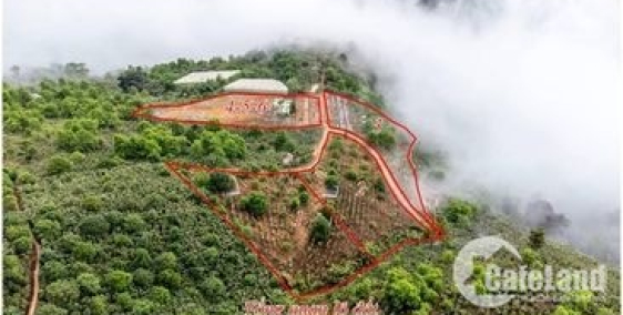 chính chủ cần chốt nhanh lô đất