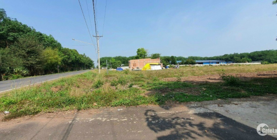 Bán đất Chơn thành 250mv full thổ cư giá 700tr