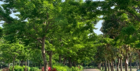 Cần tiền bán gấp lô đất Opus One Uông Bí