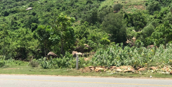 Đầu Tư Ngay, Đón Đầu Tiềm Năng Sinh Lợi Cực Khủng Tại Khu Đô Thị Biển CAM RANH