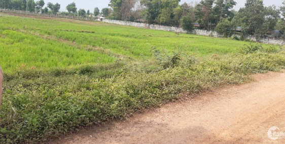 Đất vườn Tân Phú Trung 600-1200m2