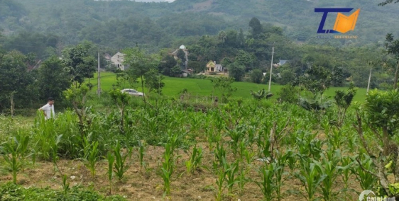 Cần bán gấp lô đất Thanh Sơn Phú Thọ 1921m2 Giá siêu rẻ LH: A Tiến 0586.22.9999