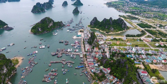 siêu phẩm vân đồn,tiềm năng rất lớn cho các nhà đầu tư thông thái.