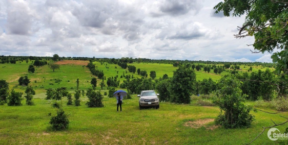 Đất nỡ hậu trồng trọt Giá Rẻ xã Hồng Thái giá đầu tư 120k/m2