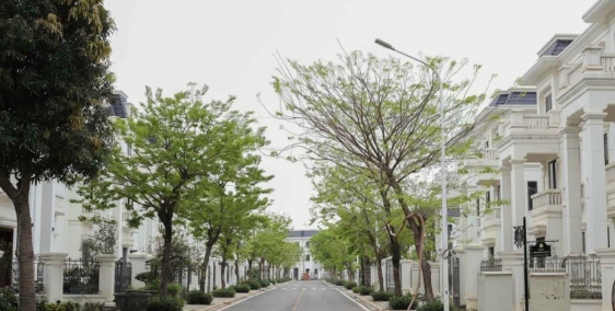 Bán biệt thự SL 180m dự án VCI Moutaint View , Vĩnh Yên Lh 0855823833