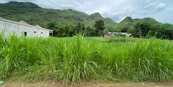 Đất Hà Giang, tài chính nhỏ nhưng tiềm năng lớn cho các nhà đầu tư.