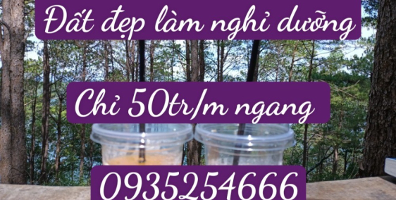 mở bán lô đất view hồ, thích hợp làm khu nghỉ dưỡng