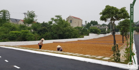 ĐẤT NỀN HÒA TRÚC, HÒA THẠCH , QUỐC OAI VIEW HỒ  GIÁ 13TR/M2.