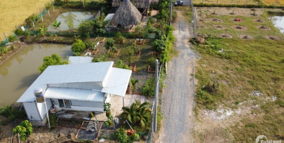 Chính chủ bán lô vườn 500m2 (18,4 - 30) MT Nguyễn Thanh Tâm, TT CẦN GIUỘC