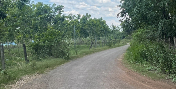 Đất giáp Khu Công Nghiệp 1.000m2 giá 320tr có ngân hàng hỗ trợ vay