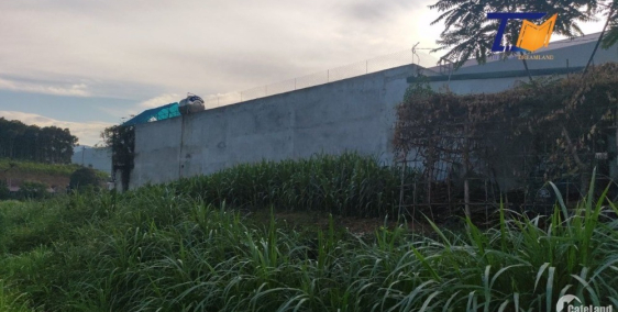 Cực rẻ cần tiền nên bán lô đất 125m2 Thanh Sơn Phú Thọ nằm tại mặt QL 70B