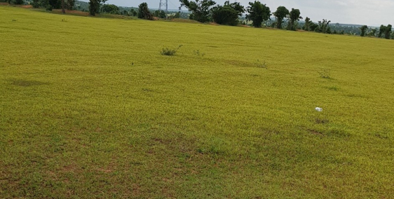 Bán 5871m đất sào bình tân 822tr gần cv safari, liên huyện liên xã Lh 0938677909