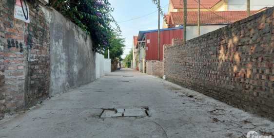 Chính chủ cần chuyển nhượng giá rẻ 516m2 đất Đông Tảo_Khoái Châu_chỉ có 14.5tr/m