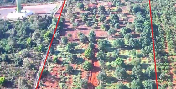 cần bán 2ha1, đất trồng sầu riêng và bơ, cách nhựa 1,5km