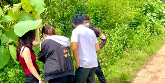 Chính chủ gửi bán vườn xoài đẹp ở Ngọc Định ngay cầu Thanh Sơn