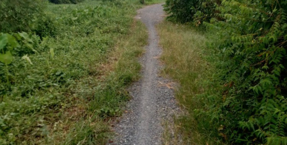 Đất MT rạch xã Trung An đường ô tô DT 3209m2 giá 1,7tr/m2