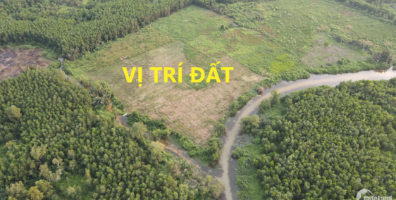 Bán gần 1.2 héc ta đất, 2 mặt sông, gần KDL Bò Cạp Vàng, Bằng Lăng Tím