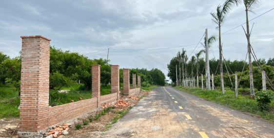 Bán vườn nhãn Bình Châu Garden 1 - SHR - Mặt tiền nhựa - ngay Nova Onsen