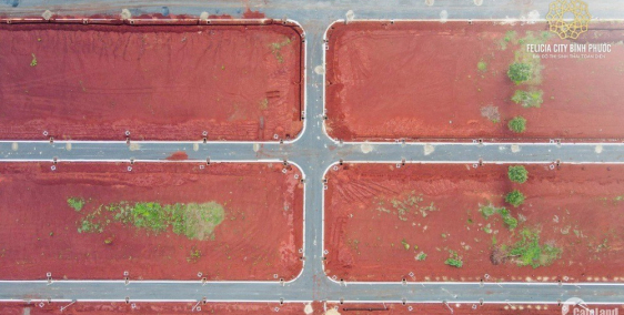 Mở bán phân khu mới Felicia City Bình Phước giá chủ đầu tư chỉ cần 500 triệu