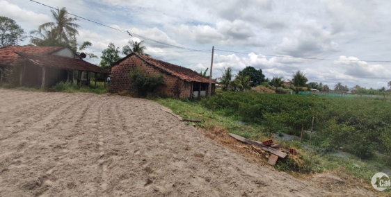 Bán đất thổ cư kèm vườn 4.500 m2 xã Bình Thuận, Tây Sơn, Bình Định