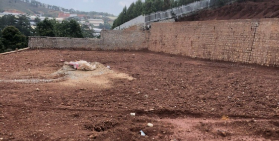 Chính chủ bán đất Mănglin Đà Lạt view rừng thông, kế biệt thự người nổi tiếng