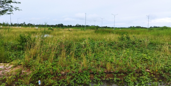 ĐẤT NỀN GẦN CÔNG VIÊN TRẺ EM,FULL THỔ CƯ