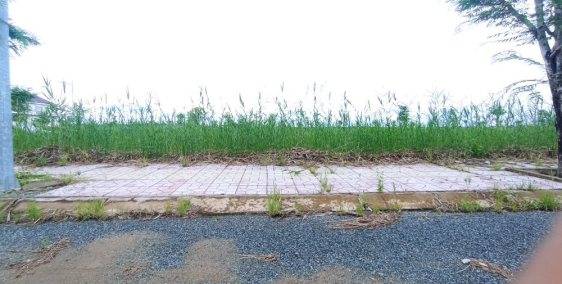 Đất Nền 100% Thổ Cư Thành Phố Cà Mau