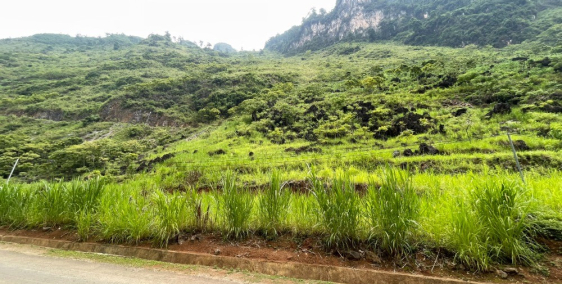 Mảnh đất đẹp nhất Hà Giang gom ngay và luôn chứ đừng hỏi giá (chưa tới 500k/m2)