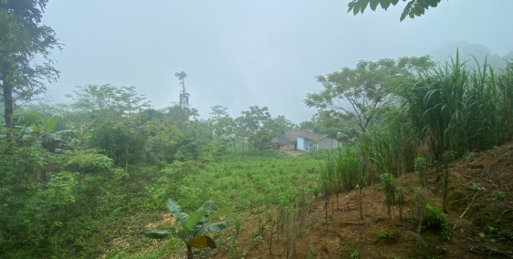 Đất nền Hà Giang nằm trên trục chính QL 4C giá chỉ vài Trăm Triệu