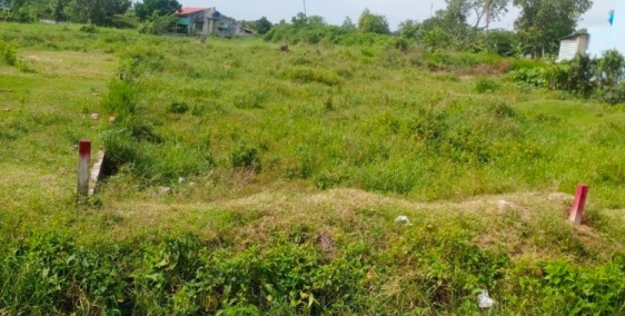 Đầu tư/Đất ODT THỊ trấn đức hoà 1 sec 825