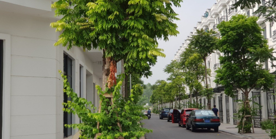 Bán nhà phố Phúc La - Hà Đông 5 tầng vỉa hè rộng, kinh doanh cực đẹp