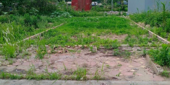 Bán đất Trâu Quỳ - 79.7m2 View vườn hoa, Khu tái định cư giá đầu tư. 0982852808