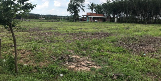 Đất Đường Nhựa 7m (5x32=160m2) Thổ Cư 100% Ấp 4-Bàu Đồn