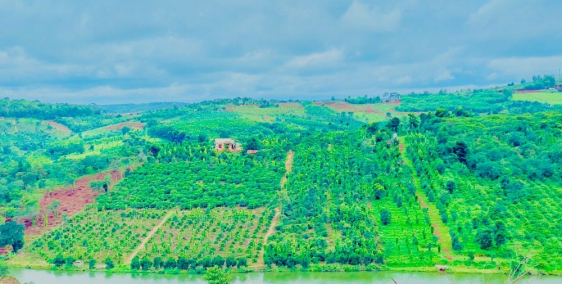 CHỈ ????? CÓ NGAY ?????2 ĐẤT NỀN ĐẮK NÔNG